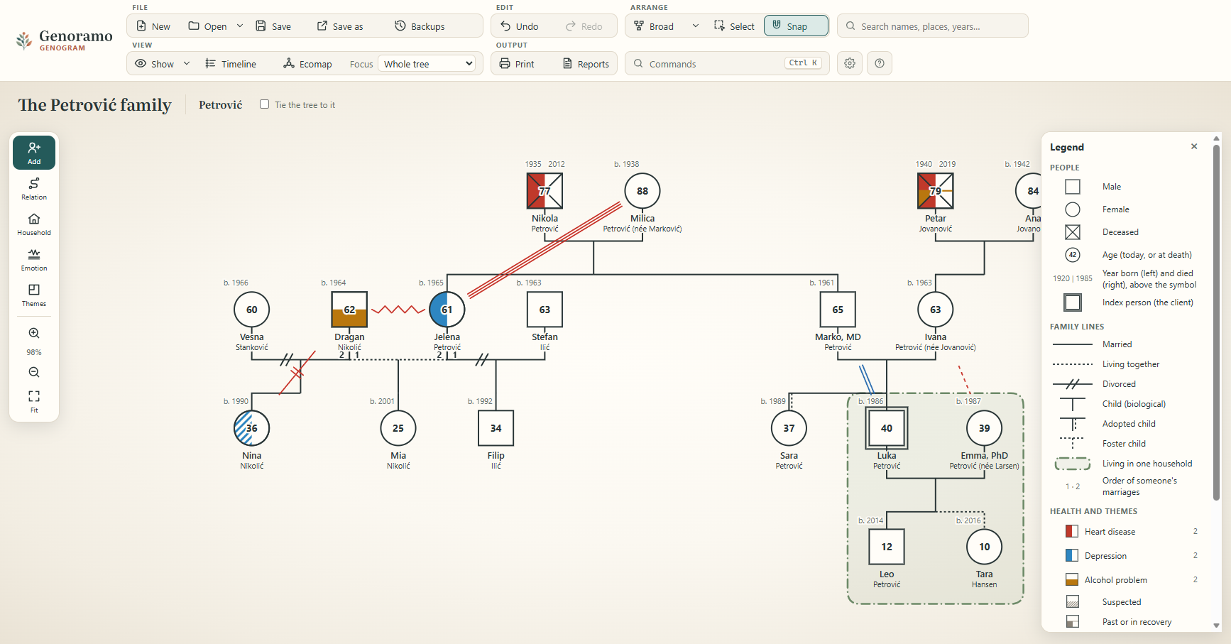 A three-generation genogram in Genoramo, with marriages, a divorce, emotional relationships, a household and health themes